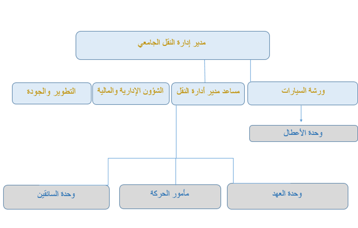 Organizational Structure - University Transportation Department