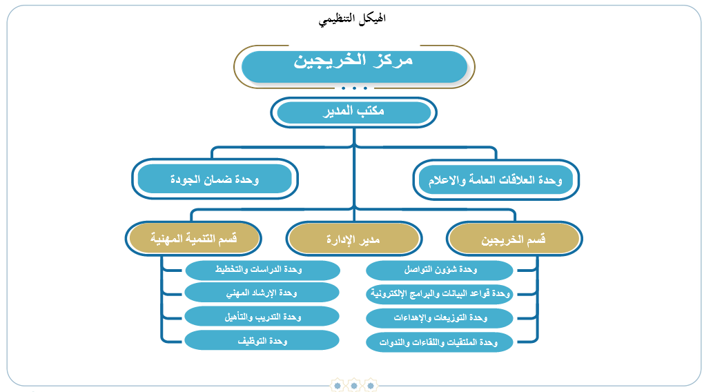 الهيكل الإداري مركز الخريجين